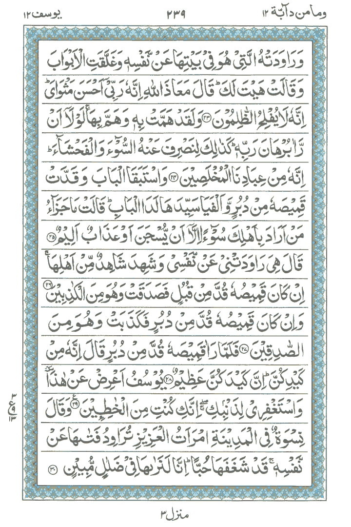 Online Quran Page 239